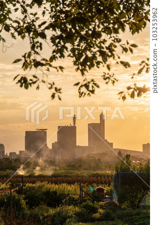 Evening scenery of Minuma rice field that dyes the area around "Saitama Prefecture" orange 103253962