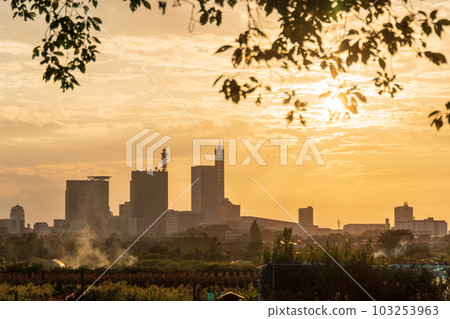 Evening scenery of Minuma rice field that dyes the area around "Saitama Prefecture" orange 103253963