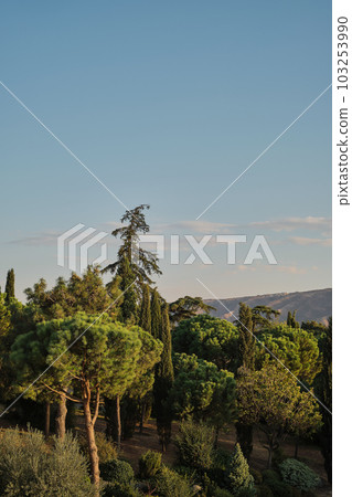 Park in the rays of the setting sun, vertical frame, the idea of park design. Italian style park 103253990