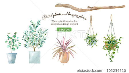 盆栽植物和懸掛植物的水彩插圖。向量。 103254310