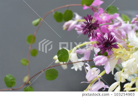 Flower arrangement of spring flowers blooming in the garden Flower arrangement of spring flowers blooming in the garden 103254903