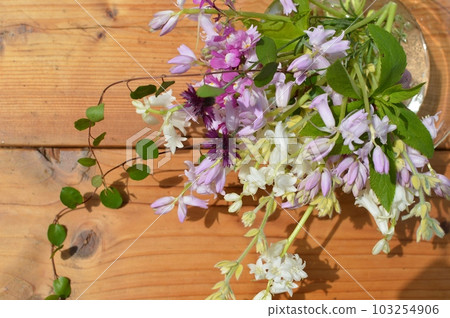 開花在庭院裡的春天花的插花 103254906