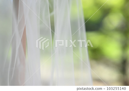 婚禮當天穿的新娘禮服 婚禮當天穿的新娘禮服 103255140