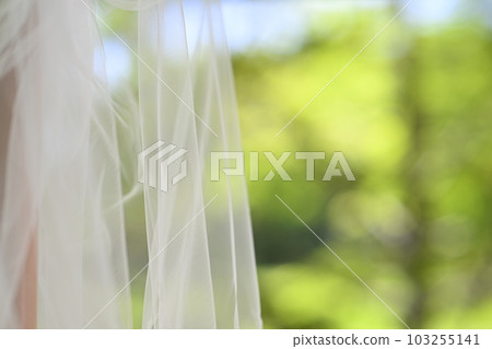 婚禮當天穿的新娘禮服 婚禮當天穿的新娘禮服 103255141