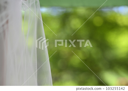 婚禮當天穿的新娘禮服 婚禮當天穿的新娘禮服 103255142