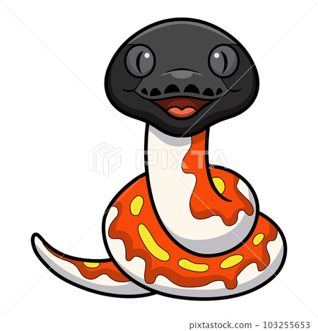 Cute red blood python cartoon 103255653