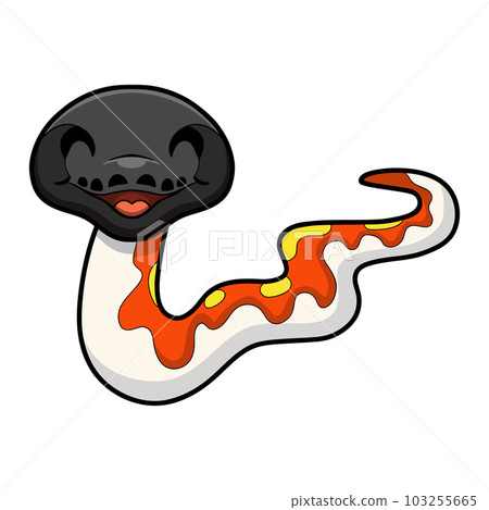 Cute red blood python cartoon Cute red blood python cartoon 103255665