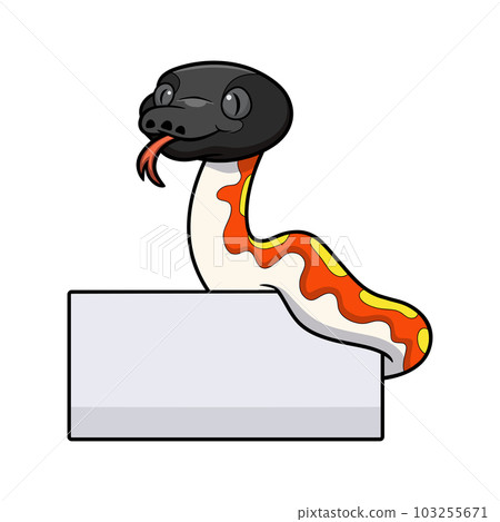 Cute red blood python cartoon with blank sign 103255671