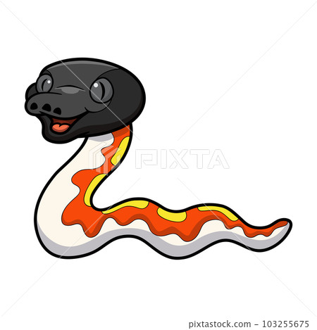 Cute red blood python cartoon Cute red blood python cartoon 103255675