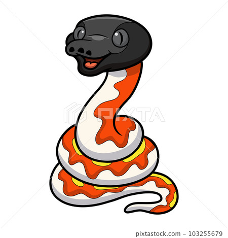 Cute red blood python cartoon 103255679