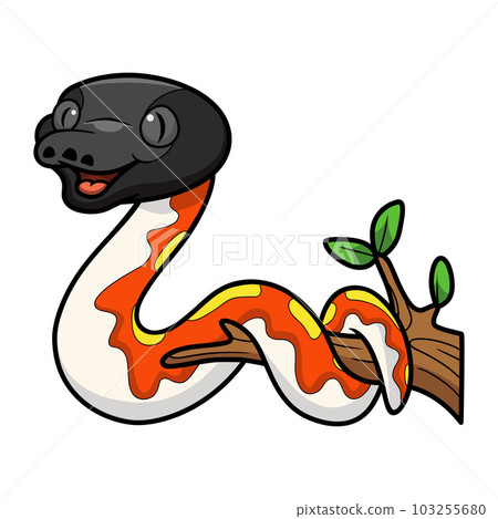 Cute red blood python cartoon on tree branch Cute red blood python cartoon on tree branch 103255680