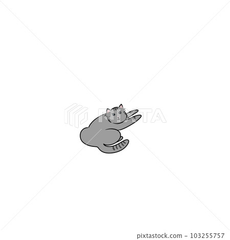 Cat pet animal kitty gray white friendship. My cat Cat pet animal kitty gray white friendship. My cat 103255757