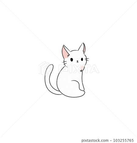 Cat pet animal kitty gray white friendship. My cat 103255765