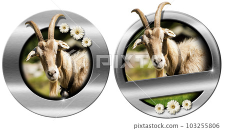Metal Sign or Icon with Head of Goat Isolated on White Background 103255806