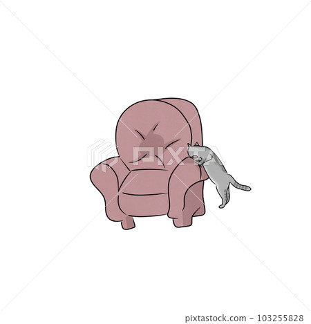 Cat pet animal kitty gray white friendship. My cat Cat pet animal kitty gray white friendship. My cat 103255828