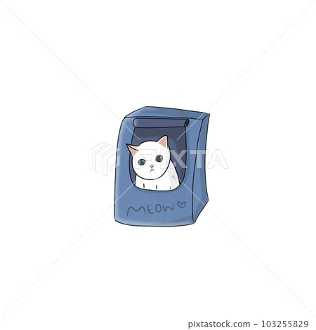 Cat pet animal kitty gray white friendship. My cat Cat pet animal kitty gray white friendship. My cat 103255829