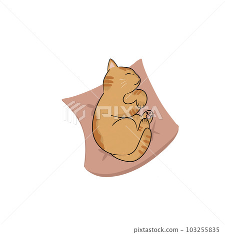 Cat pet animal kitty gray white friendship. My cat 103255835