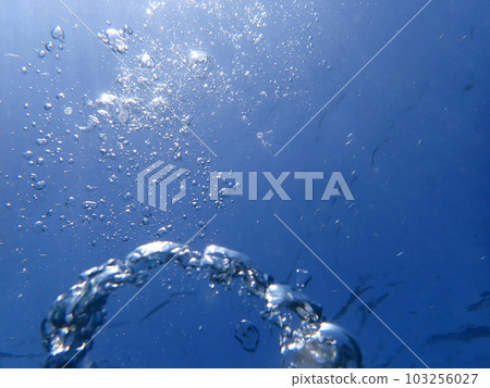 抬頭看看小魚。 103256027