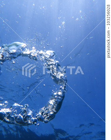 水生的 水下 在水中 103256028