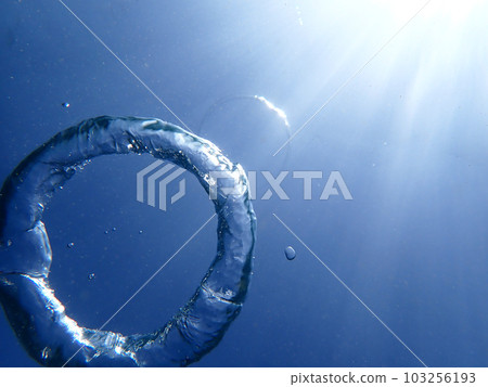 aquatic, in the water, underwater 103256193