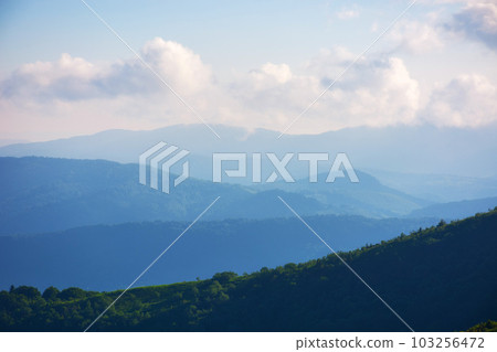 nature scenery with mountains and valleys. landscape background with forested rolling hills in summer 103256472