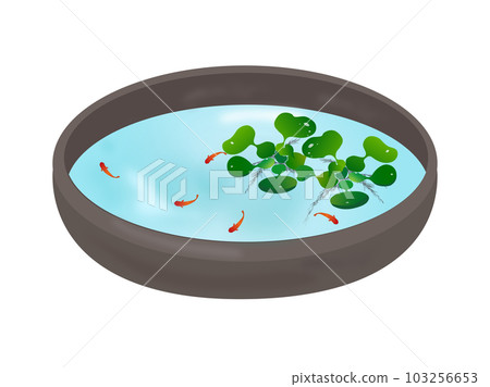 Phyllanthus and red medaka in a bowl Phyllanthus and red medaka in a bowl 103256653