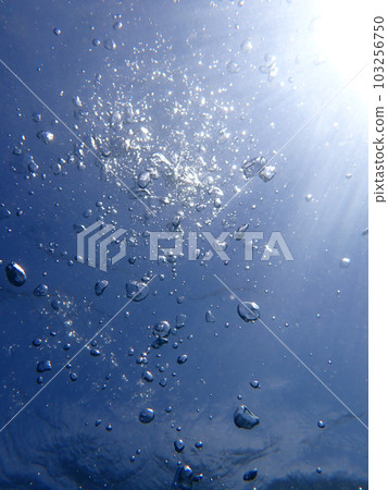 underwater beauty underwater beauty 103256750