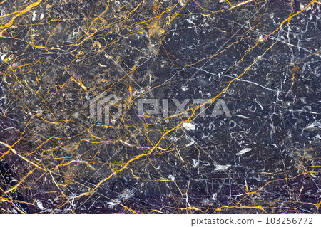 Black Marble Gold Veins 103256772