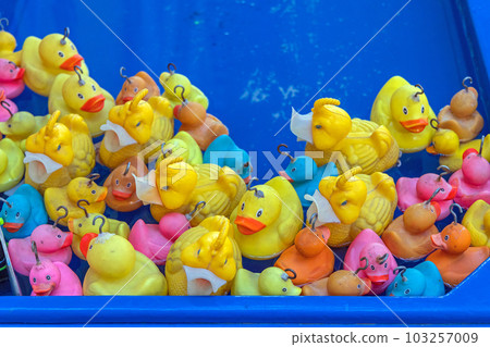 Rubber Ducks in Pool Rubber Ducks in Pool 103257009