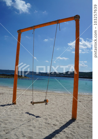 Sandy Beaches and Sandy Swings: The Best Version of Sandy