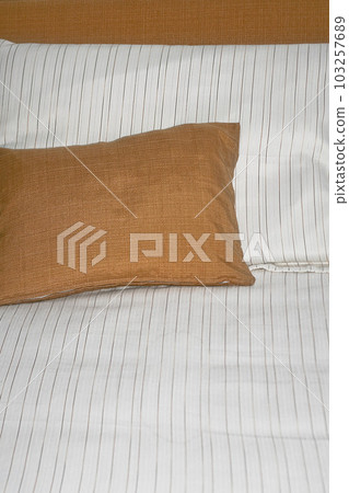 Pillows 103257689