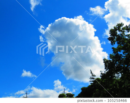 天空中美好的一天 天空中美好的一天 103258466