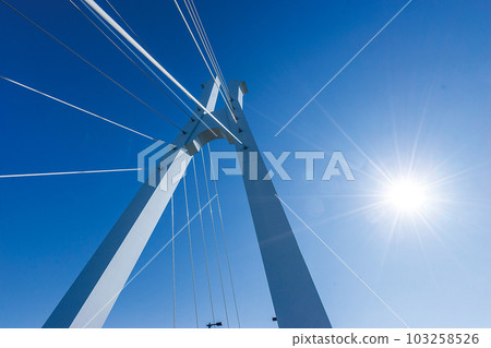 白小鳩橋 103258526