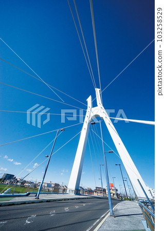 白小鳩橋 白小鳩橋 103258529