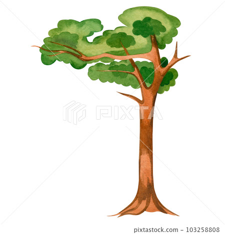 Watercolor illustration. A green tree with a brown trunk painted in watercolor on a white background. Suitable for printing on fabric and paper, book illustrations and children's room interiors Watercolor illustration. A green tree with a brown trunk painted in watercolor on a white background. Suitable for printing on fabric and paper, book illustrations and children's room interiors 103258808