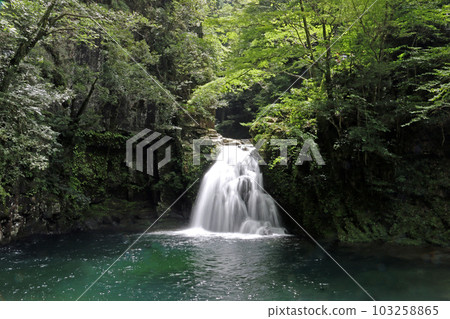 Fresh green red-eye-red waterfall Fresh green red-eye-red waterfall 103258865