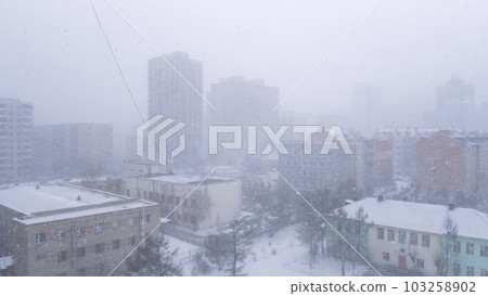 blizzard blizzard 103258902