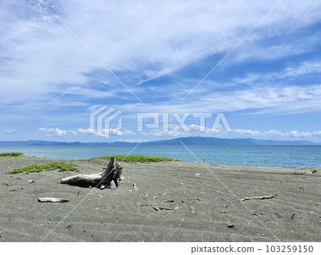 漂流木和海 103259150