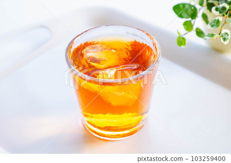 Cold rooibos tea 103259400