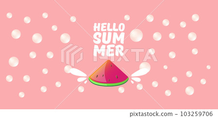 Vector Hello Summer Beach Party horizontal banner Design template with fresh watermelon slice isolated on pink background. Hello summer concept label or poster with fruit and typographic text. 103259706