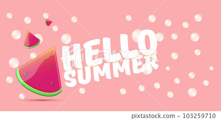 Vector Hello Summer Beach Party horizontal banner Design template with fresh watermelon slice isolated on pink background. Hello summer concept label or poster with fruit and typographic text. 103259710