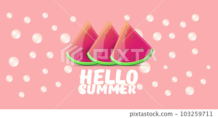 Vector Hello Summer Beach Party horizontal banner Design template with fresh watermelon slice isolated on pink background. Hello summer concept label or poster with fruit and typographic text. Vector Hello Summer Beach Party horizontal banner Design template with fresh watermelon slice isolated on pink background. Hello summer concept label or poster with fruit and typographic text. 103259711