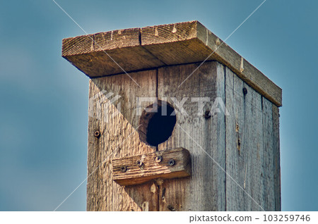 An old wooden birdhouse with a hole and a landing bar against the sky 103259746