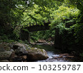 Valley and bridge 103259787