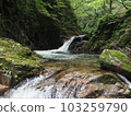 Waterfall 103259790