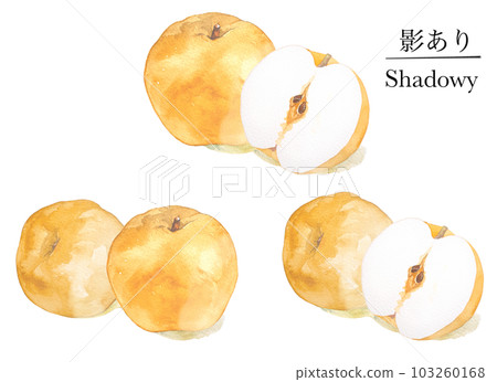 Juicy pear watercolor illustration material set with three-dimensional shadow 103260168