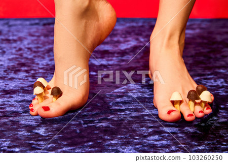 Creative image with female bare legs, feet with mushrooms between fingers over purple background. Health care Creative image with female bare legs, feet with mushrooms between fingers over purple background. Health care 103260250