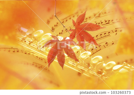 樂譜和紅葉 103260373