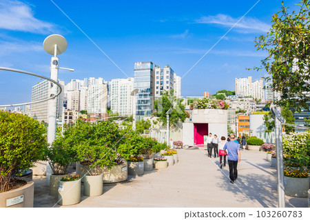 Seoul-ro 7017 morning view 103260783