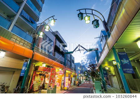 Wisteria first street Wisteria first street 103260844